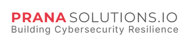Prana Solutions.io Building Cybersecurity Resilience